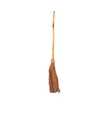  Witch Broom