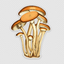  Brown Mushrooms Decal