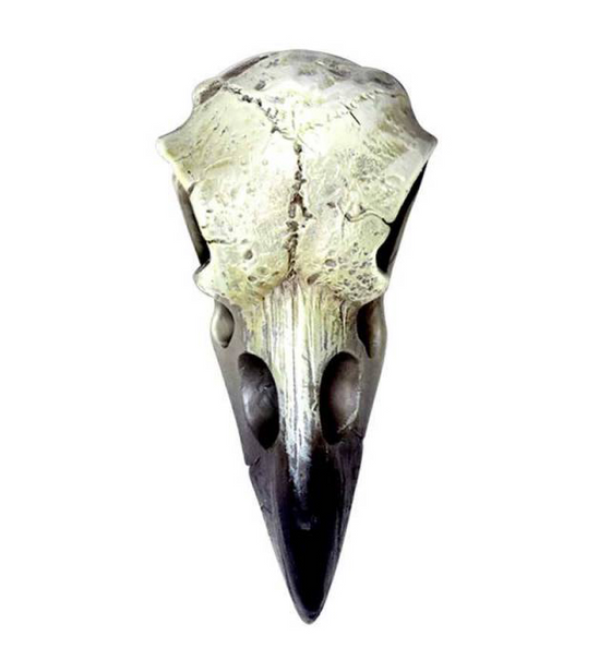 Small Raven Skull
