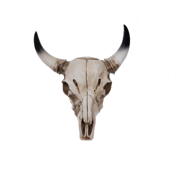 Medium Steer Skull Wall Art