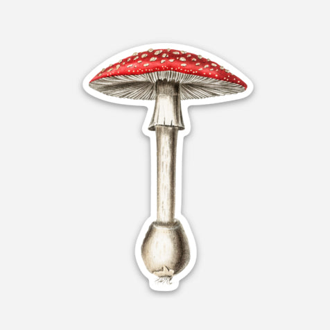 Red Mushroom Decal