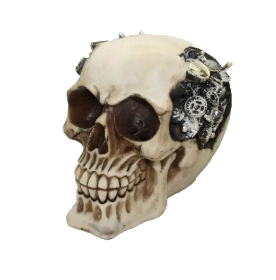 Skull with Gears Inside