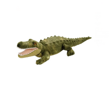  Alligator Plush