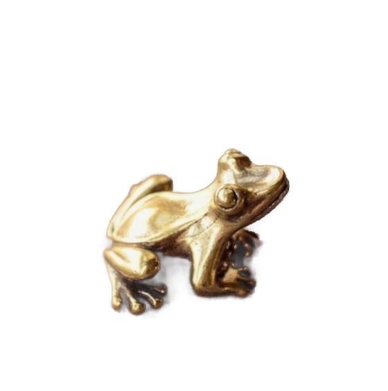 Brass Frog Decor