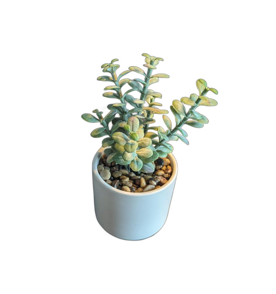 Faux Succulent Plant Smooth Ceramic Pot