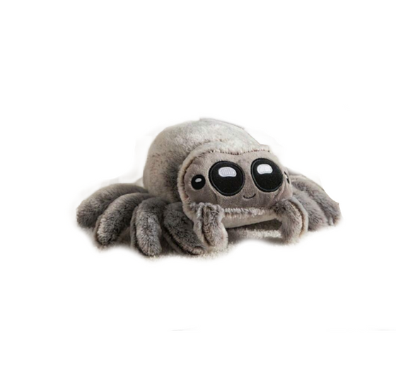 Spider Plushie