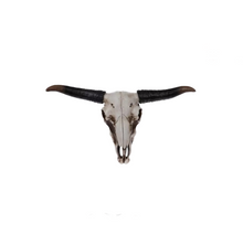  Large Steer Skull Wall Art