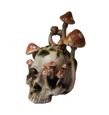  Mushroom Head