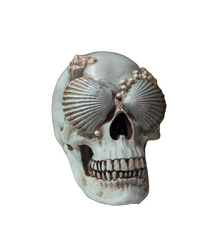  Seaside Skull