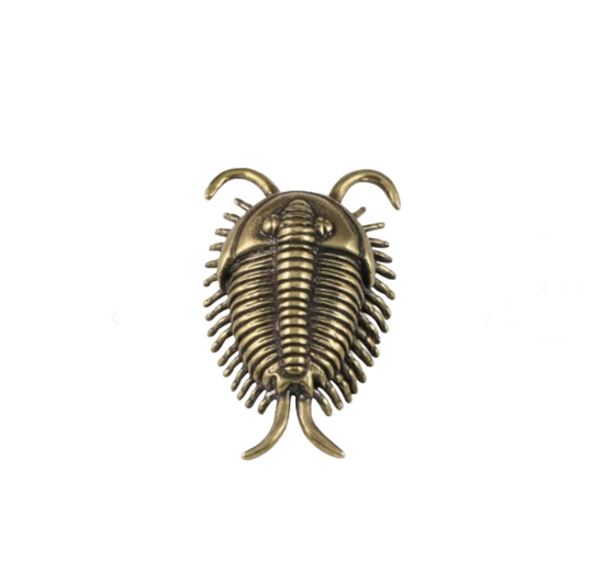 Brass Trilobite