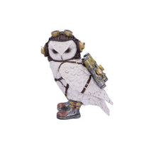  Aviator Owl