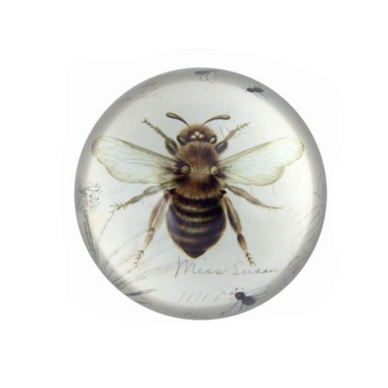 Glass Bee Paperweight