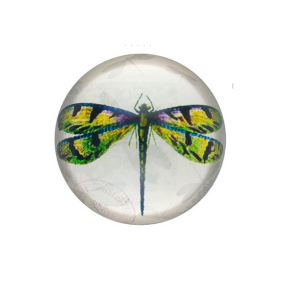 Glass Dragonfly Paperweight