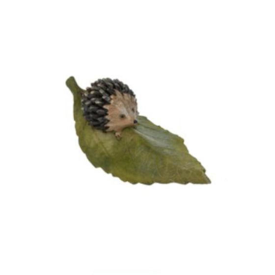 Hedgehog Leaf