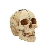  Make Your Own Way Skull