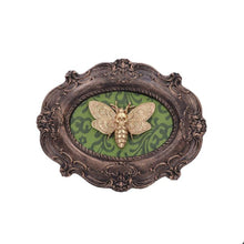  Death's Head Moth Plaque