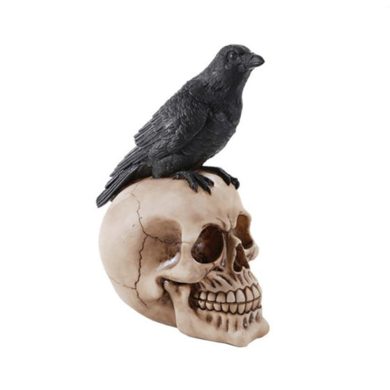 Nevermore Raven Skull