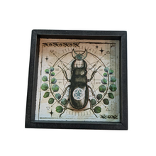  Scarab Beetle Wall Art