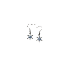  Blue Star Earrings