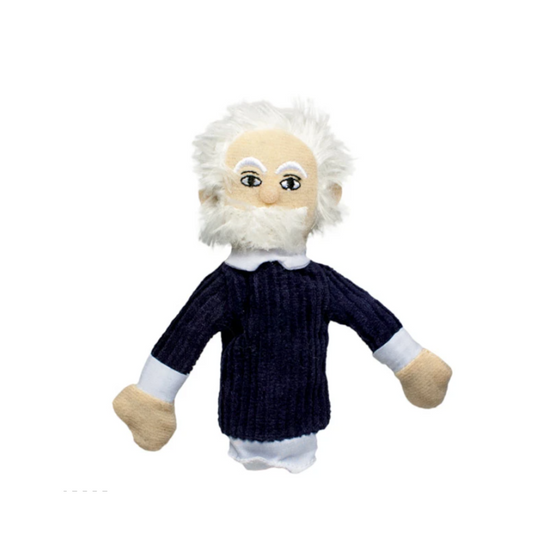 Einstein Magnetic Puppet