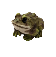  Frog Statue