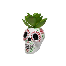  Sugar Skull Mini Plants