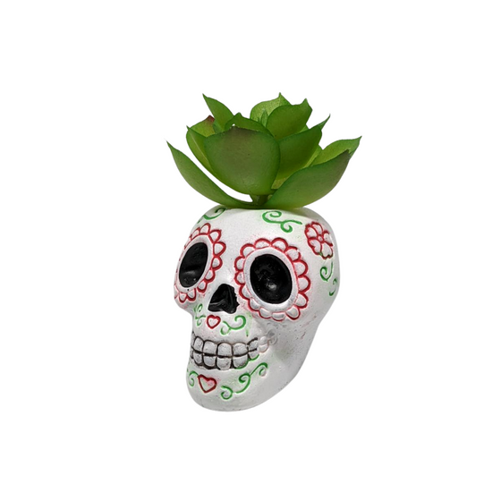Sugar Skull Mini Plants